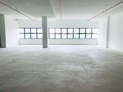 Loyang Industrial Estate (D17), Factory #301125241